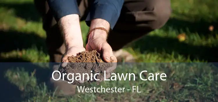 Organic Lawn Care Westchester - FL