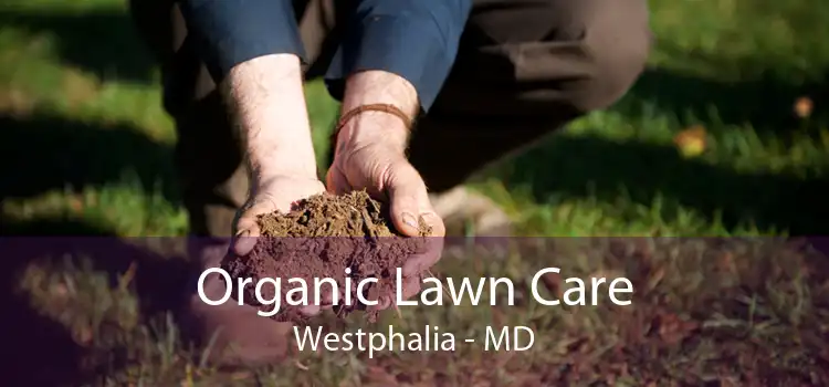 Organic Lawn Care Westphalia - MD