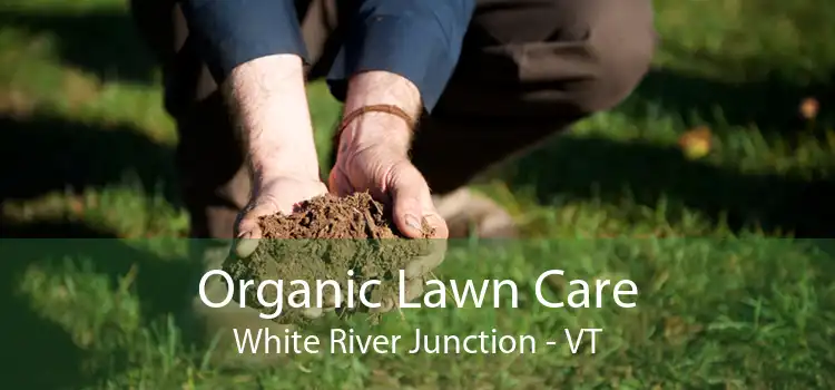 Organic Lawn Care White River Junction - VT