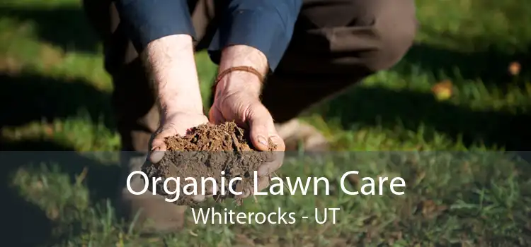 Organic Lawn Care Whiterocks - UT