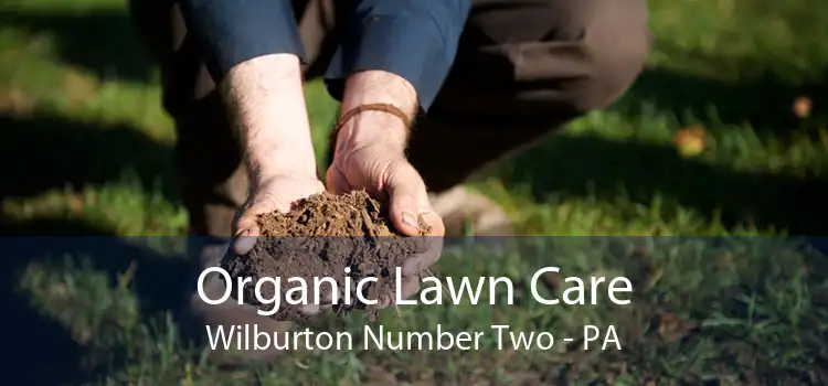 Organic Lawn Care Wilburton Number Two - PA