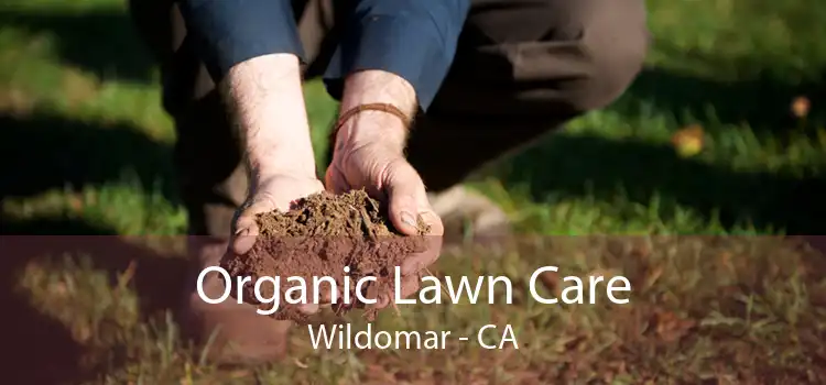 Organic Lawn Care Wildomar - CA
