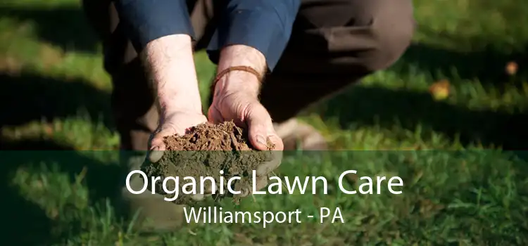 Organic Lawn Care Williamsport - PA