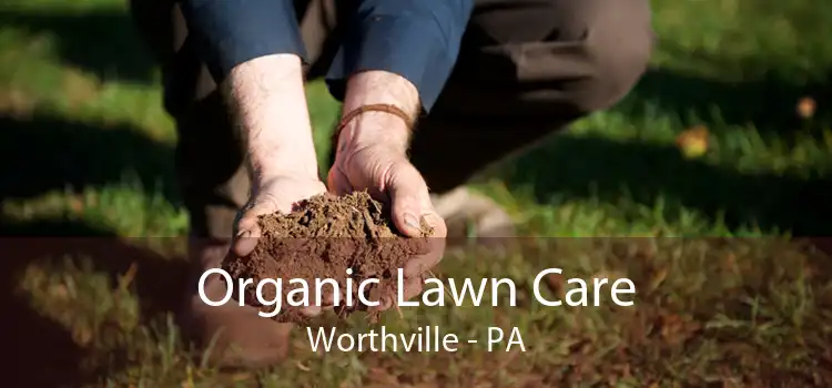 Organic Lawn Care Worthville - PA