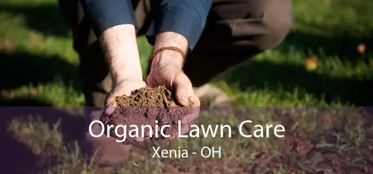 Organic Lawn Care Xenia - OH