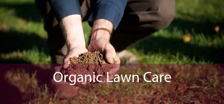 Organic Lawn Care 