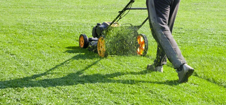 Lawn Cleanup Near Me in Alliance, OH