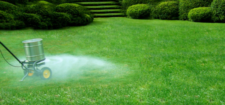 Lawn Disease Treatment in Gillette, Wyoming