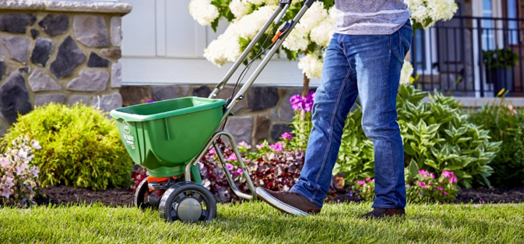 Spring Lawn Maintenance in Fridley, MN