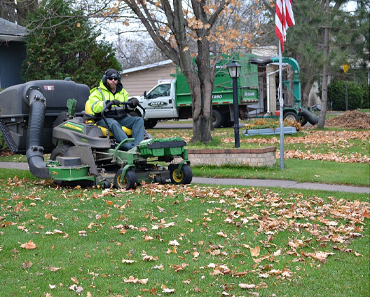 Lawn Cleanup in Algonquin